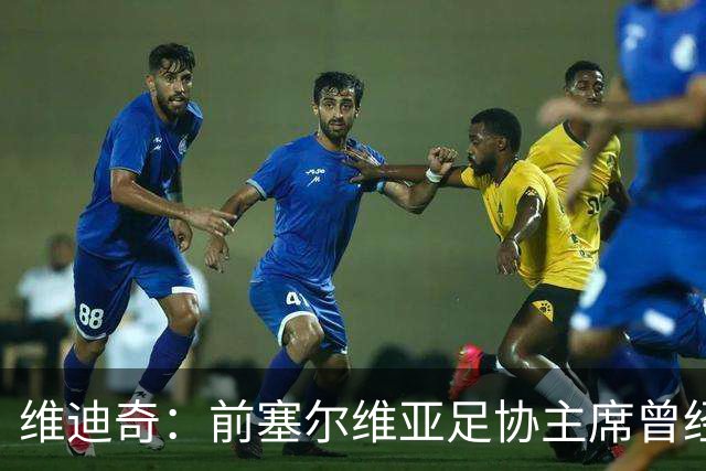 维迪奇：前塞尔维亚足协主席曾经招揽社会闲散人员跟踪我、袭击我