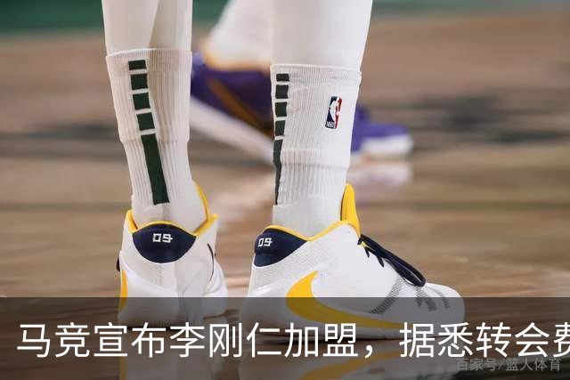 马竞宣布李刚仁加盟，据悉转会费达到4000万欧元
